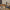 Bookshelf Speakers