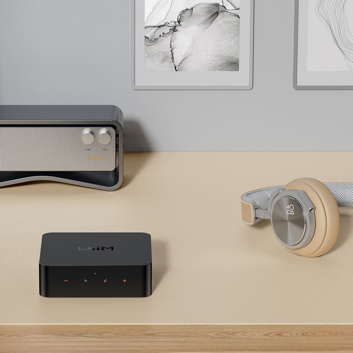 WiiM Pro Wireless Audio Streamer AirPlay 2 & Chromecast